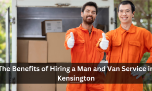 Man and Van Service